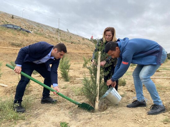 Binəqədidə ​"Vətən Müharibəsi Şəhidlərinin Anım Günü" ərəfəsində ağacəkmə aksiyası keçirilib