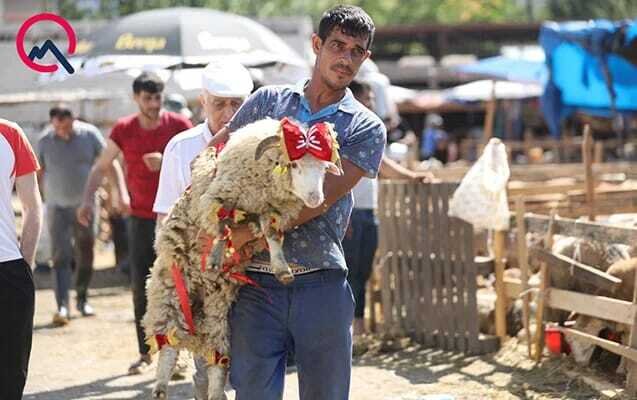 Azərbaycanda Qurban bayramı qeyd olunur