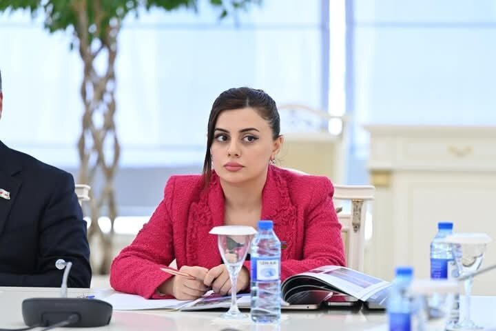 "Azərbaycan bu gün yalnız karbohidrogen ehtiyatlarının ixracatçısı deyil, həm də strateji enerji dəhlizlərinin təşəbbüskarı və reallaşdırıcısıdır