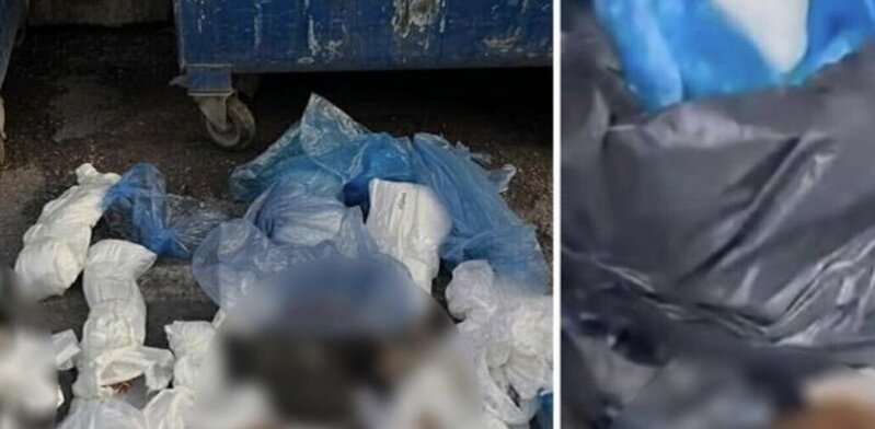 Zibil qutusunda 33 ölü pişik tapılıb, baytar saxlanıldı