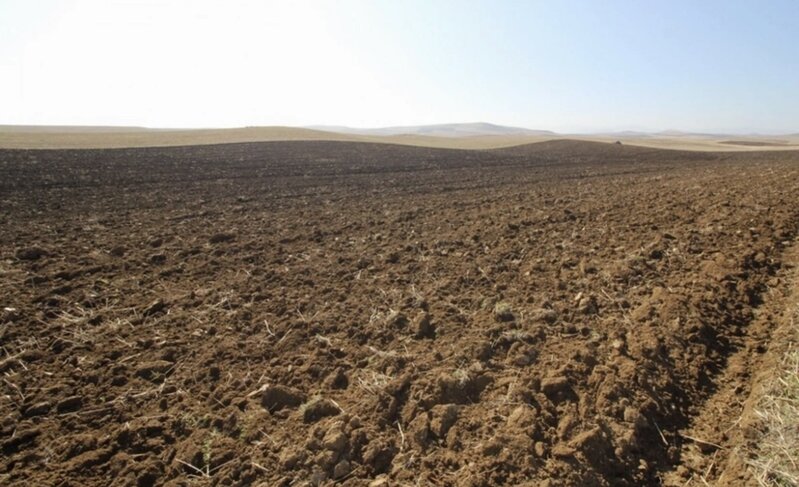 Dövlət Xidməti torpaq hərracları keçirəcək