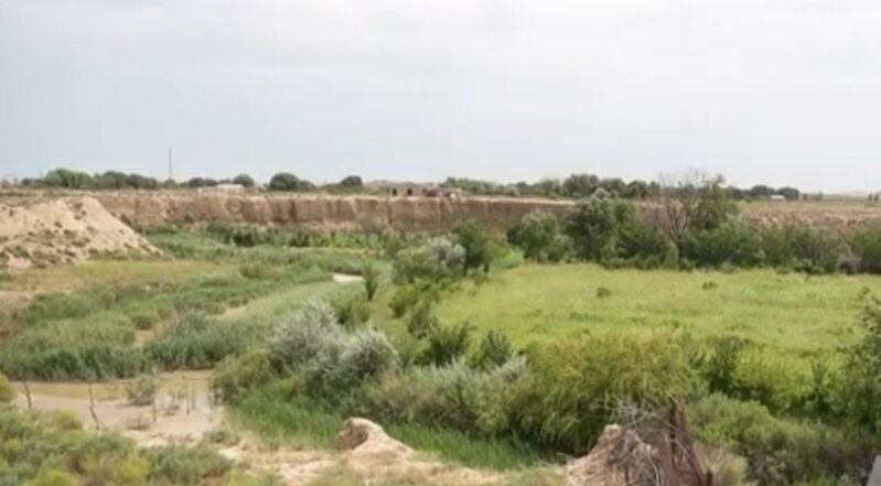 Sumqayıtın əsrarəngiz TƏBİƏT ABİDƏSİ: Bataqlıq tısbağası və Xəzər gekkonuna rast gəlmək MÜMKÜNDÜR - VİDEO