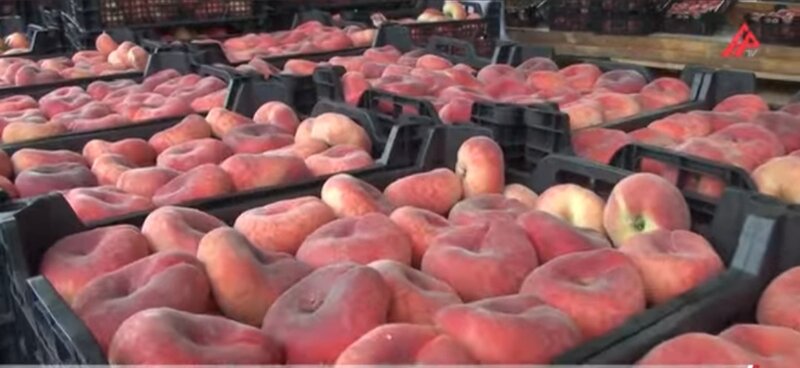 "Zolotoy", "Fədai", "Arıyeyən" : Qiymətlər 1.50-dən 3 manata qədər DƏYİŞİR - VİDEO