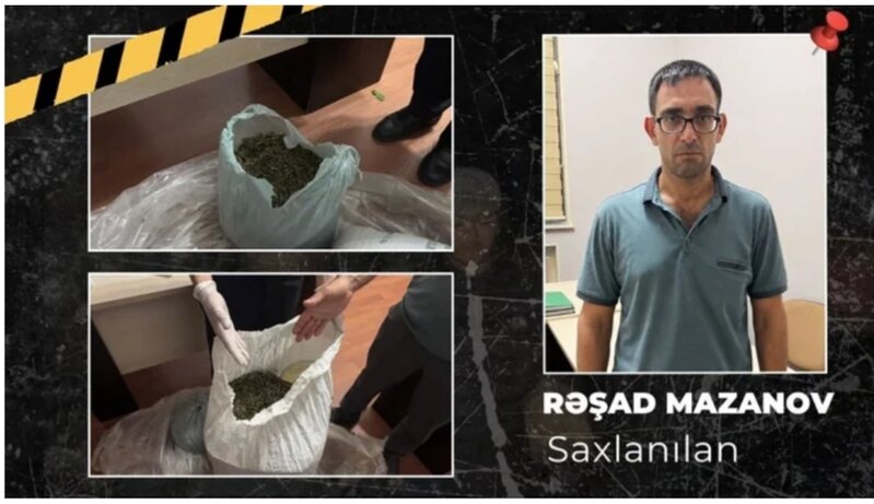 İsmayıllıda meşə ərazisində külli miqdarda narkotik vasitə aşkarlandı - FOTO - VİDEO