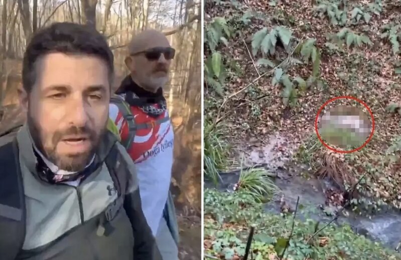 Vətəndaşlar meşədə gördükləri hadisə qarşısında şok oldular