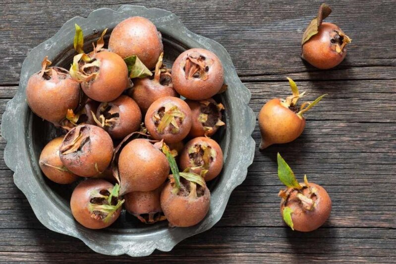 Əzgilin bu faydaları varmış...