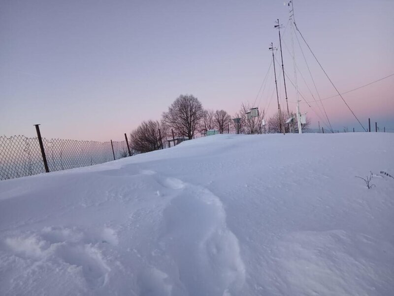 Şahbuzda qarın hündürlüyü 48 sm-ə çatdı