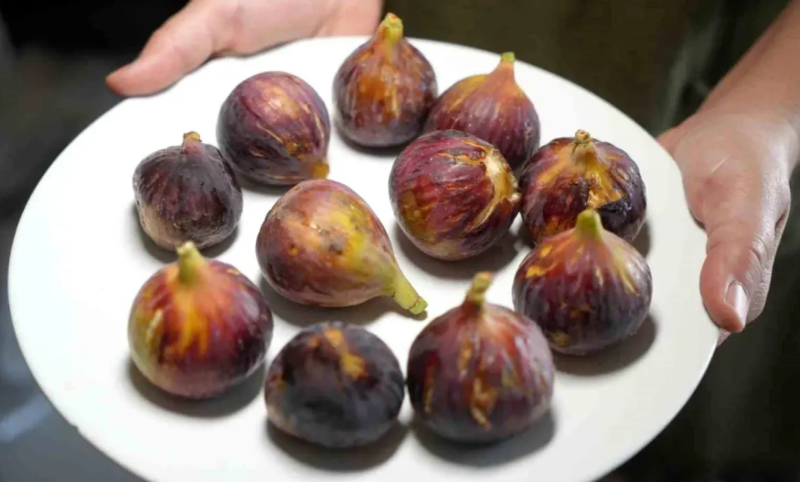 "Təzə ənciri qabığı ilə yemək daha faydalıdır"