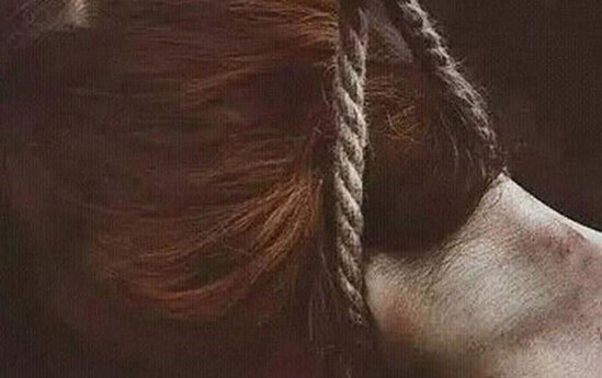 İntihara cəhd edən 72 yaşlı qadın xəstəxanada öldü