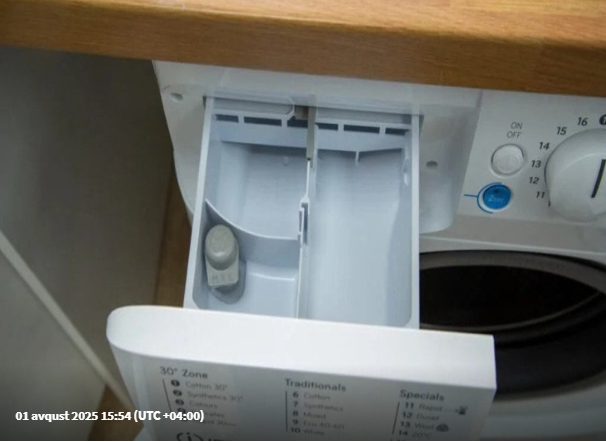 Paltaryuyan maşında gizli düymə – Qoxudan, küfdən və toz qalıqlarından qurtulmağın SİRRİ