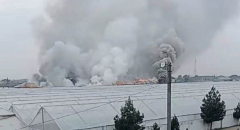 İmişlidə istixana yanır