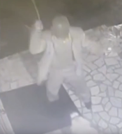 Qüsurlu iti çubuqla döydü - VİDEO