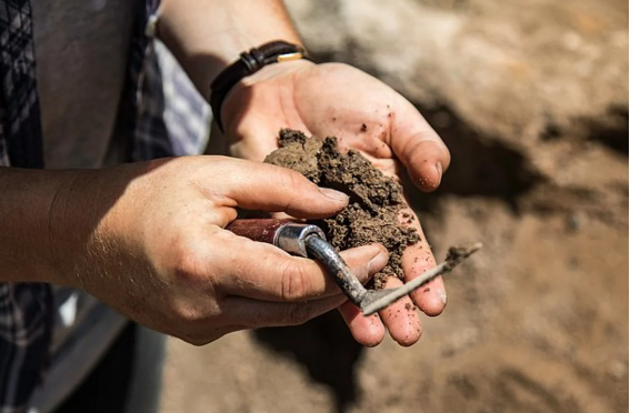 Almaniyada qeyri-adi TAPINTI