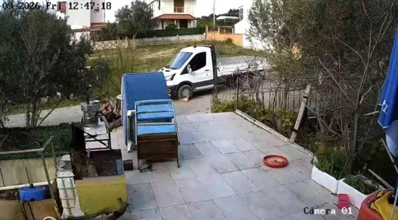 Yol kənarında yatan iti əzdi, arxasına baxmadan getdi