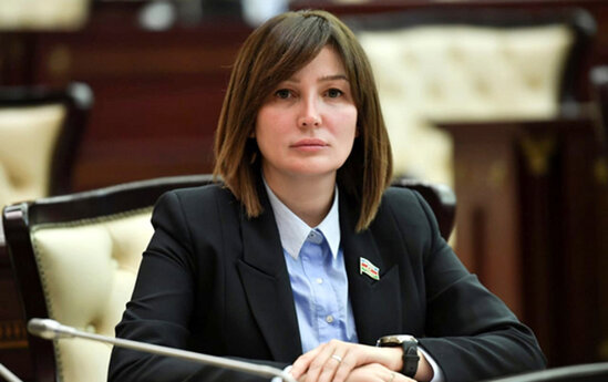 Xanım deputat bir vəzifəsindən istefa verdi