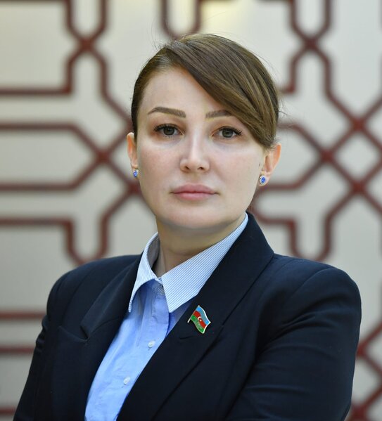 Millət vəkilinə oğlundan SÜRPRİZ - VİDEO