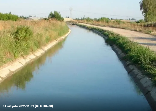 Milyonçu qadın özünü kanala atdı
