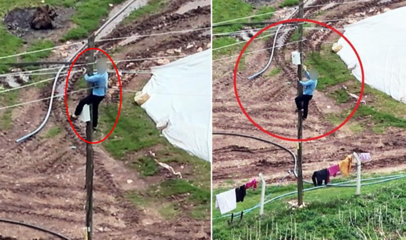 Qanunsuz elektrik xəttini gizlətmək üçün görün nə etdilər - VİDEO