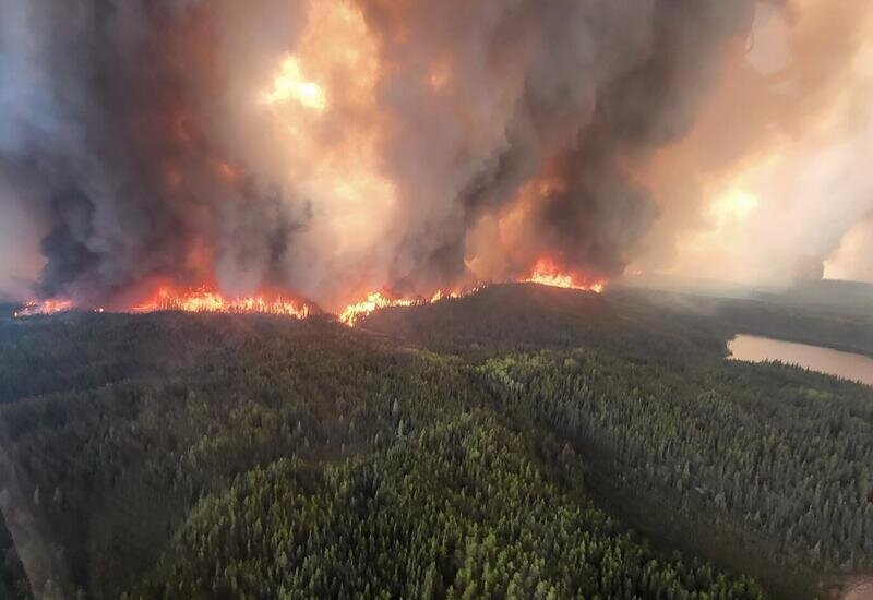Kanadada fövqəladə vəziyyət elan edildi - VİDEO