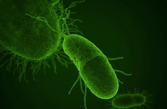 Dünyada hər iki nəfərdən birində rast gəlinən virus mədə xərçəngi riskini artıra bilər