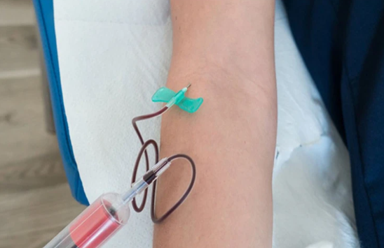 Azərbaycanda bu "kəpənək"lərin satışı qadağan edildi