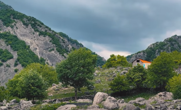 Bu kənddə cəmi 3 ailə YAŞAYIR - VİDEO