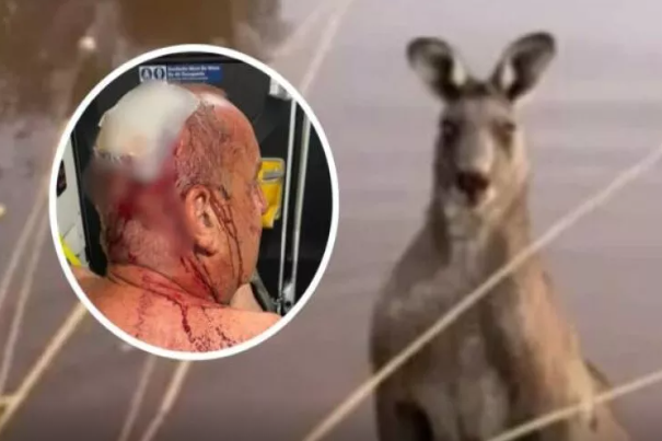 Kenquru iti suya sürüyib sahibini vəhşicəsinə döydü