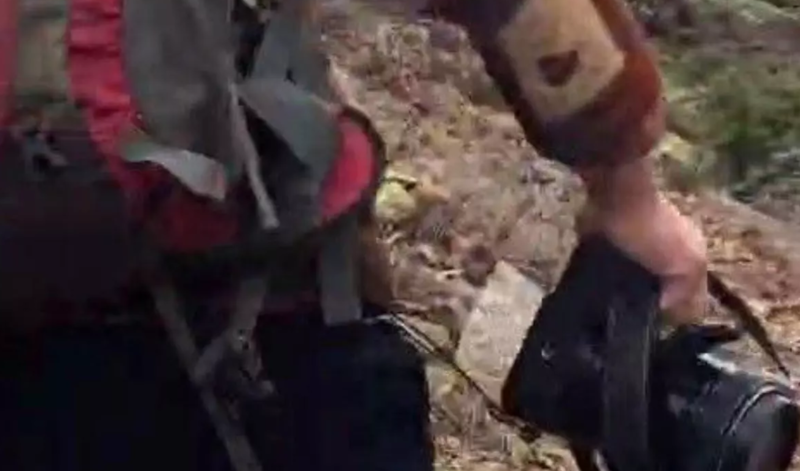 Dərənin arxasında quş var sanırdı, qarşılaşdığı mənzərə şok etdi - VİDEO