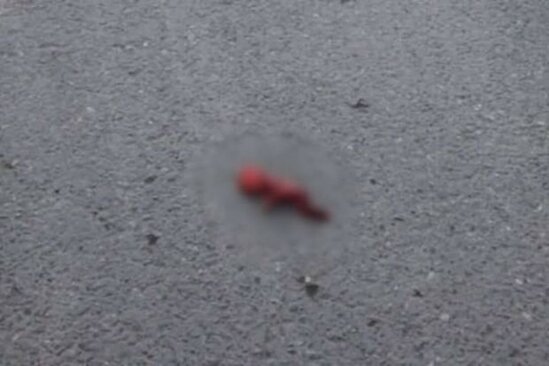 ​Ölmüş dölü bağ evinin həyətinə atan qadın saxlanıldı