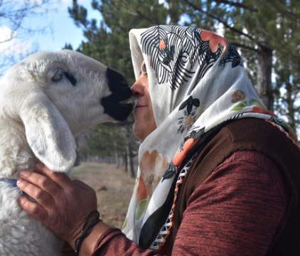 Uşağı olmayan ailə görün nə etdi - FOTO