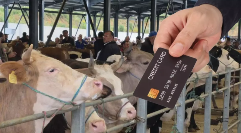 Kredit kartı ilə qurban almaq olarmı? Nazirlik AÇIQLADI