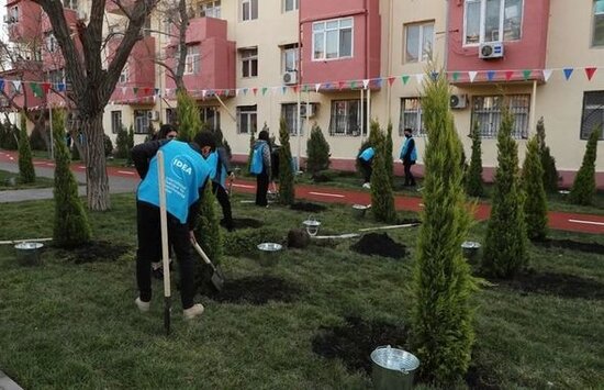 Leyla Əliyeva Bakıda abadlaşdırılan daha bir həyətin açılışını edib, ağac əkib - FOTO