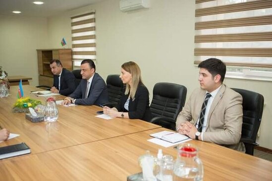 TƏBİB-lə MEDİA arasında əməkdaşlıq perspektivləri müzakirə olundu