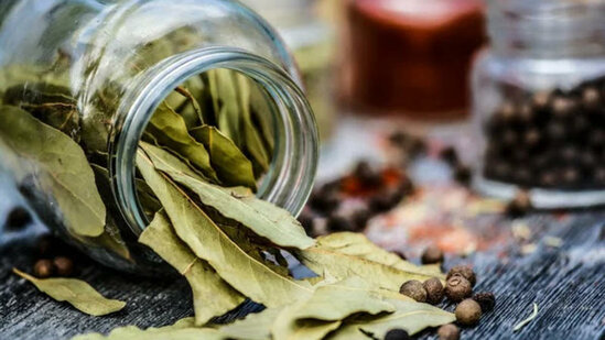 Dəfnə yarpağı haqqında bunu bilmək vacibdir: evə pul gətirir