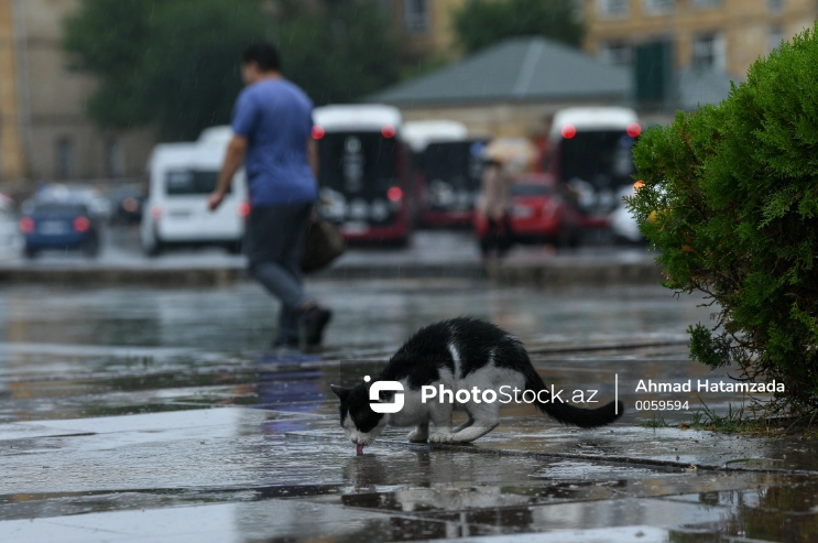 Bakıda və Abşeronda yağış gün ərzində intensivləşəcək