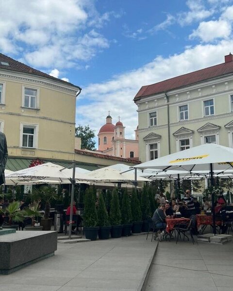 Mehriban Əliyeva Litvadan paylaşım etdi - FOTOLAR