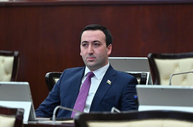 "Delimitasiya prosesində irəliləyiş regionda risklərin azalmasına səbəb ola bilər" - DEPUTAT