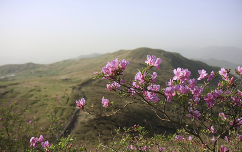 Martda hava necə olacaq?