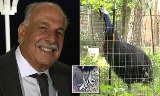 Sahibini öldürən quş satılır – FOTO