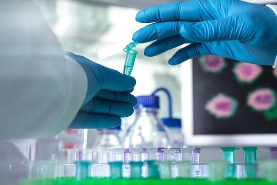 "Meymun çiçəyi" daha bir Avropa ölkəsində peyda oldu