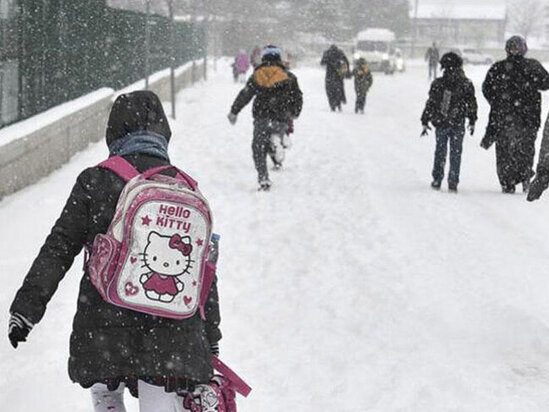 Təhsil Nazirliyindən məktəblərlə bağlı AÇIQLAMA