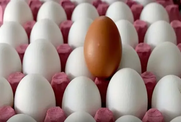 Bu ərzağı istifadə edənlər diqqətli olsun