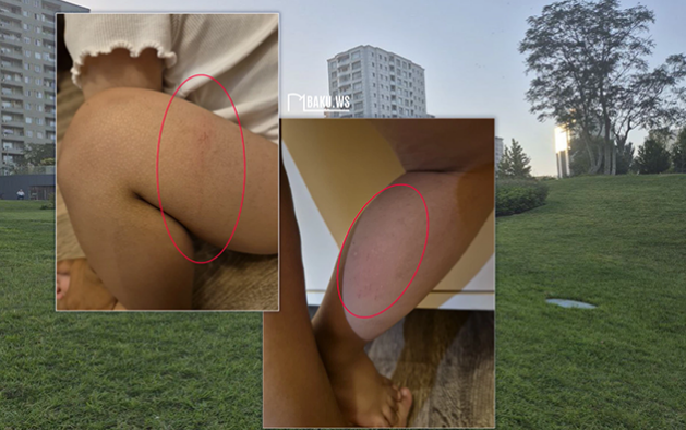 "Mərkəzi parkdakı kanalizasiya quyusu ilə bağlı yoxlama aparılıb" - RƏSMİ AÇIQLAMA