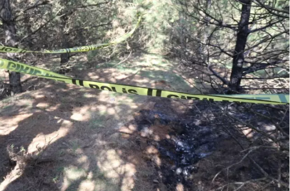 Bir həftədir itkin düşən qadının yanmış meyiti meşədə tapıldı