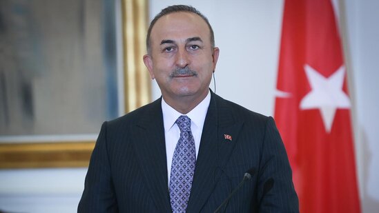 Çavuşoğlu ermənilərə "BOZQURD" işarəsi ilə "od qoydu" - VİDEO