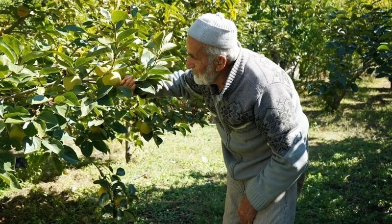 30 ildir meyvələrini ziyarətçilərə pulsuz paylayır: "Ən böyük qazanc insanların gülümsəməsidir"
