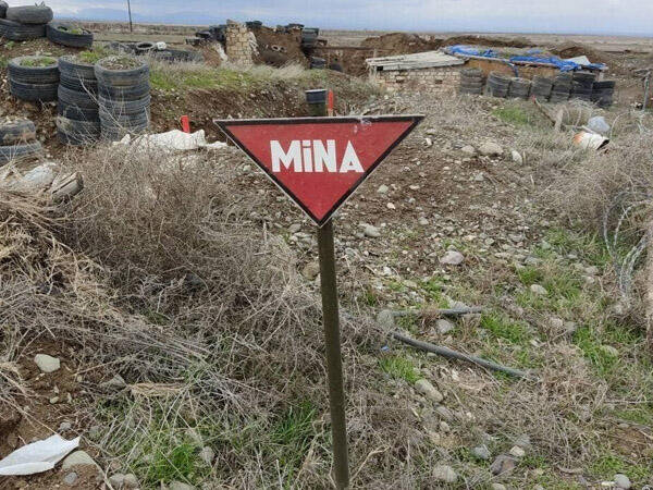 Evdə, məktəbdə, pambıq tarlasında olan qadın indi də minalı ərazilərdədir! - VİDEO