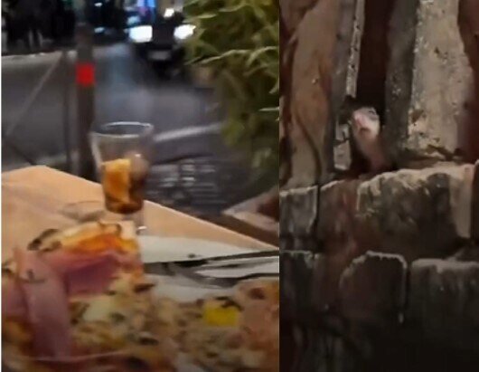 Romada axşam yeməyinin qoxusunu alan siçan viral oldu - VİDEO