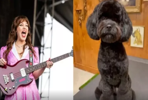 Məşhur müğənni iti ilə evləndi