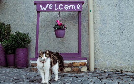 Sabahın havası açıqlandı